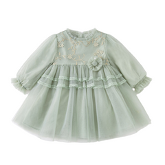 Dave&Bella Toddler Girls Autumn Grey Green Mesh A-line Princess Dress