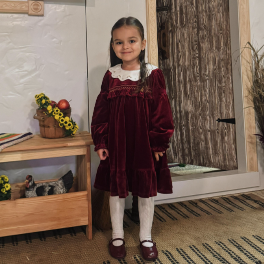 Dave&Bella Toddler Girls Winter Noble Wine Red Luxury Velveteen Holiday Princess Dress