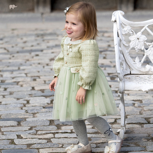 Dave&Bella Toddler Girls Autumn Delicate Grey Green A-line Mesh Dress