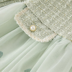 Dave&Bella Toddler Girls Autumn Delicate Grey Green A-line Mesh Dress
