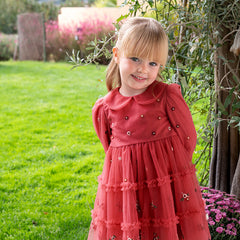 Dave&Bella Toddler Girls Autumn Festival Red Mesh Princess Party Dress