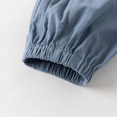 Dave&Bella Toddler Boys Casual Blue Chinese-style V-collar Top Pant Suits