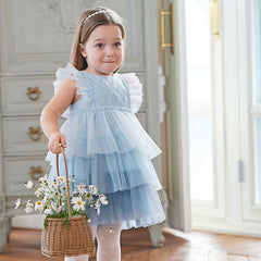 Dave&Bella Summer Toddler Girls Sleeveless Layered Mesh Princess Dress