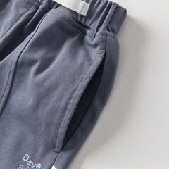 Dave&Bella Toddler Boys Summer Blue/Grey Comfortable Soft Straight-leg Pants