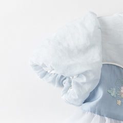 Dave&Bella Summer Toddler Girls Classic Blue Traditional-style Turtle A-line Mesh Dress