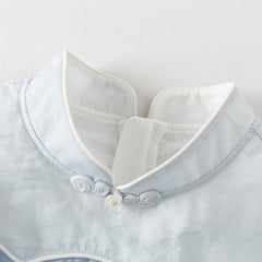 Dave&Bella Summer Toddler Girls Classic Blue Traditional-style Turtle A-line Mesh Dress