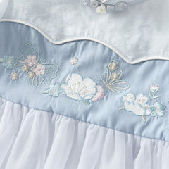 Dave&Bella Summer Toddler Girls Classic Blue Traditional-style Turtle A-line Mesh Dress