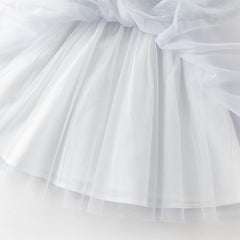 Dave&Bella Summer Toddler Girls Classic Blue Traditional-style Turtle A-line Mesh Dress