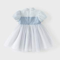 Dave&Bella Summer Toddler Girls Classic Blue Traditional-style Turtle A-line Mesh Dress