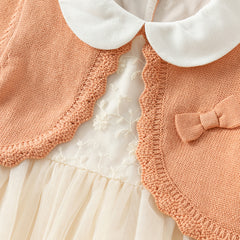 Dave&Bella Toddler Girls Autumn Charming Orange Pink Knit Sweater Mesh A-line Dress