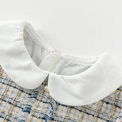 Dave&Bella Toddler Girls Autumn Elegance Grey Blue A-line Party Dress(wallet bag)