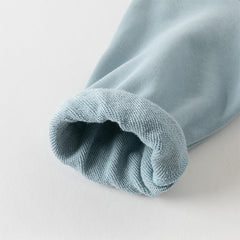 Dave&Bella Boys Autumn Leisure Smoke Blue Hooded Sweatshirt Top Pants Set