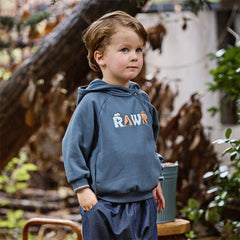 Dave&Bella Toddler Boys Autumn Blue Hooded Sweatshirts Tops