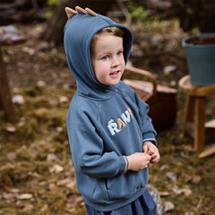 Dave&Bella Toddler Boys Autumn Blue Hooded Sweatshirts Tops
