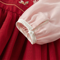 Dave&Bella Girls Autumn Adorable Drak Red Chinese Style Hanfu Mesh Princess Dress