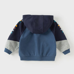 Dave&Bella Boys Autumn Blue Long Sleeve Hooded Sweatshirts