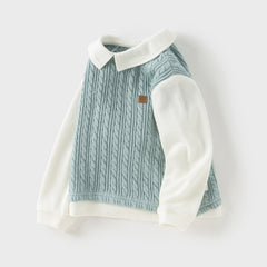 Dave&Bella Toddler Boys Blue Cotton Pullover Shirt-style Sweater Tops