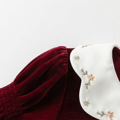 Dave&Bella Toddler Girls Winter Noble Wine Red Luxury Velveteen Holiday Princess Dress