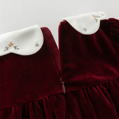 Dave&Bella Toddler Girls Winter Noble Wine Red Luxury Velveteen Holiday Princess Dress