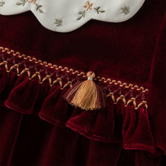 Dave&Bella Toddler Girls Winter Noble Wine Red Luxury Velveteen Holiday Princess Dress