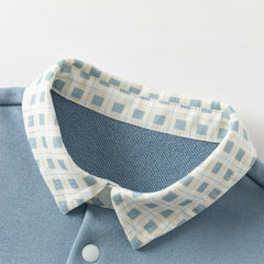 Dave&Bella Boys Autumn Blue Polo Collar Sweatshirts Tops