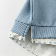 Dave&Bella Boys Autumn Blue Polo Collar Sweatshirts Tops