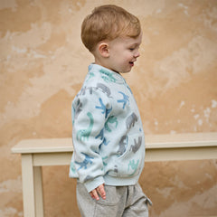 Dave&Bella Toddler Boys Cute Print Turtle Soft Fleece Jackets