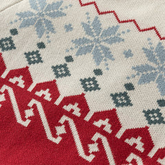 Dave&Bella Toddler Girls/Boys Red Turtle Cozy Fleece-lined Christmas Sweaters Tops