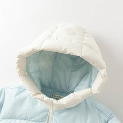 Dave&Bella Toddler Boys Winter Ice Blue Print Outwear Windproof Hooded Cozy Down Coats