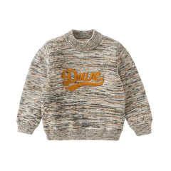 Dave&Bella Kids Boys Classic Coffee Brown Turtle Plush-lined Cozy Sweaters Tops