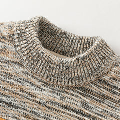 Dave&Bella Kids Boys Classic Coffee Brown Turtle Plush-lined Cozy Sweaters Tops