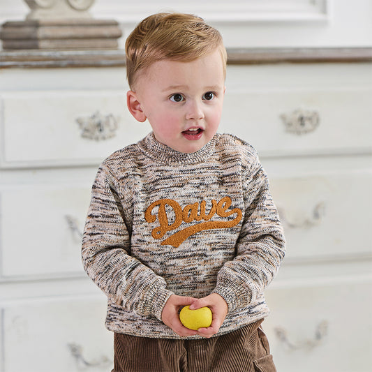 Dave&Bella Kids Boys Classic Coffee Brown Turtle Plush-lined Cozy Sweaters Tops