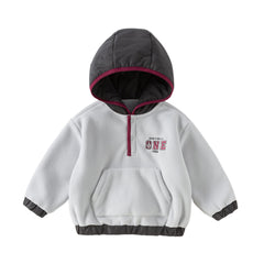 Dave&Bella Toddler Boys Grey Longsleeved Warm Padded Hooded Sweatshirts Tops