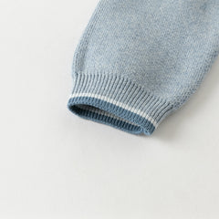 Dave&Bella Toddler Boys Winter Breathable Cotton Turtle Blue Pullover Sweaters Tops