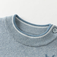 Dave&Bella Toddler Boys Winter Breathable Cotton Turtle Blue Pullover Sweaters Tops