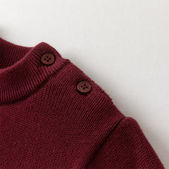 Dave&Bella Toddler Boys Purple-red Turtle Long-sleeved Plush-lined Soft Sweaters Tops