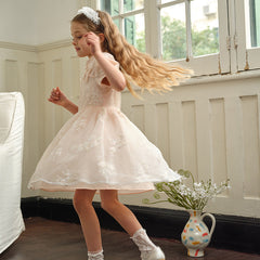 Dave&Bella Kids Girls Summer Orange Pink Chinese-style Embroidery Elegant Mesh Dress