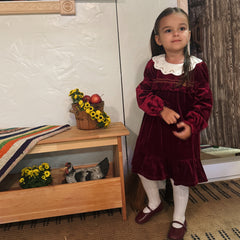 Dave&Bella Toddler Girls Winter Noble Wine Red Luxury Velveteen Holiday Princess Dress