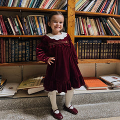 Dave&Bella Toddler Girls Winter Noble Wine Red Luxury Velveteen Holiday Princess Dress