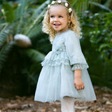 Dave&Bella Toddler Girls Grey Green Mesh A-line Princess Dress
