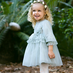 Dave&Bella Toddler Girls Grey Green Mesh A-line Princess Dress