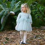 Dave&Bella Toddler Girls Grey Green Mesh A-line Princess Dress