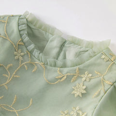 Dave&Bella Toddler Girls Grey Green Mesh A-line Princess Dress