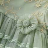Dave&Bella Toddler Girls Grey Green Mesh A-line Princess Dress