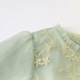 Dave&Bella Toddler Girls Grey Green Mesh A-line Princess Dress