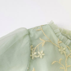 Dave&Bella Toddler Girls Grey Green Mesh A-line Princess Dress