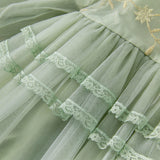 Dave&Bella Toddler Girls Grey Green Mesh A-line Princess Dress