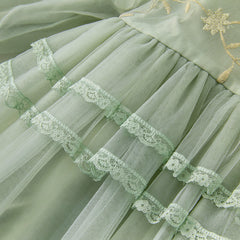 Dave&Bella Toddler Girls Grey Green Mesh A-line Princess Dress