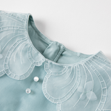 Dave&Bella Toddler Girls Noble Grey Blue Long-sleeved Princess Mesh Dress