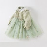 Dave&Bella Toddler Girls Delicate Grey Green A-line Party Mesh Dress